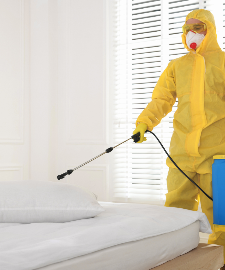 Professional Pest Control Team in Kilkenny